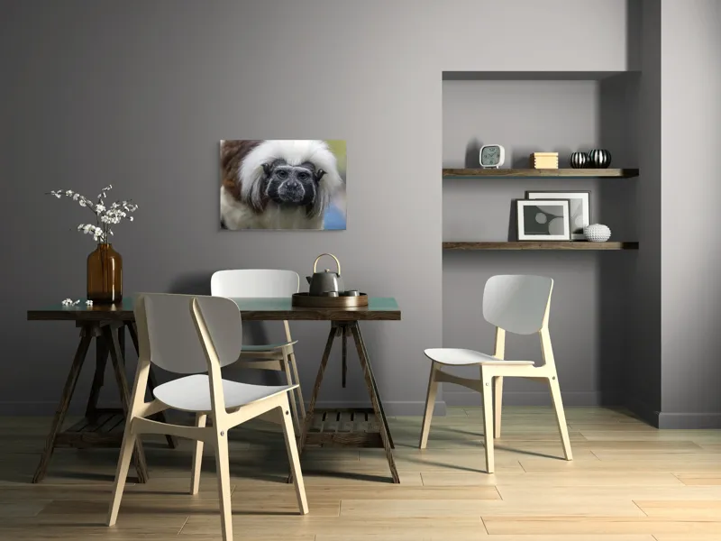 Tablou Canvas, "Portretul unui tamarin curios", I don't know who this is., 70 x 50 cm – poza 5