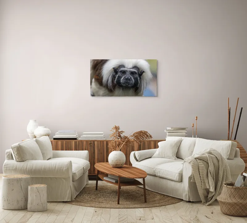Tablou Canvas, "Portretul unui tamarin curios", I don't know who this is., 90 x 50 cm – poza 4