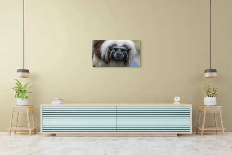 Tablou Canvas, "Portretul unui tamarin curios", I don't know who this is., 90 x 50 cm – poza 5