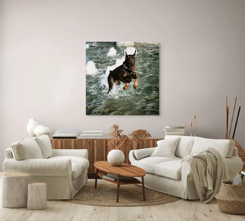 Tablou Canvas, "Câinele zburător al fântânii urbane", Nu pot spune cine este în imagine, dar este un câine care se joacă în apă., 100 x 100 cm – poza 3
