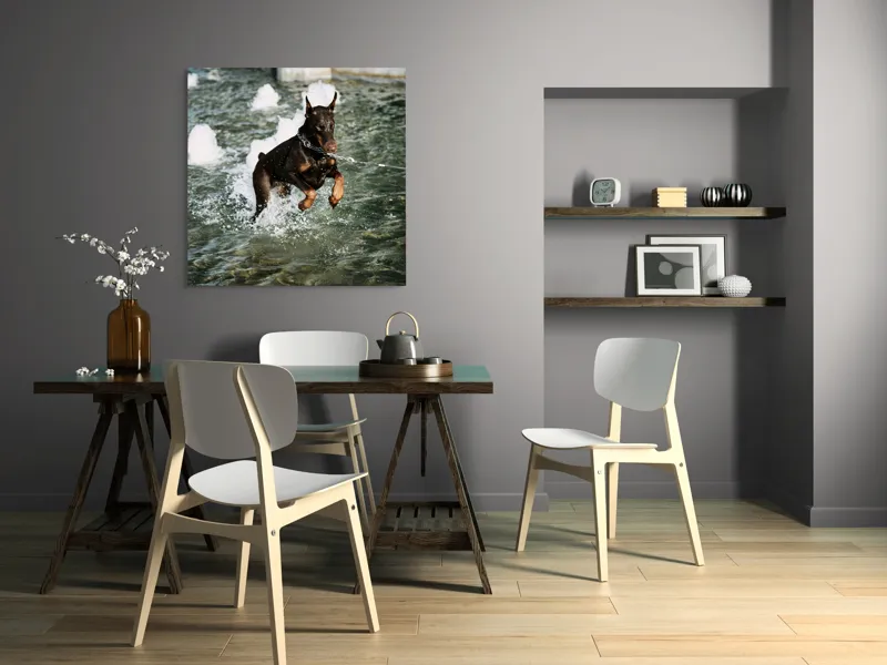 Tablou Canvas, "Câinele zburător al fântânii urbane", Nu pot spune cine este în imagine, dar este un câine care se joacă în apă., 100 x 100 cm – poza 6