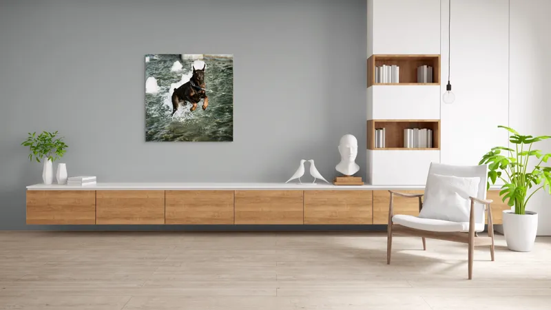 Tablou Canvas, "Câinele zburător al fântânii urbane", Nu pot spune cine este în imagine, dar este un câine care se joacă în apă., 100 x 100 cm – poza 8