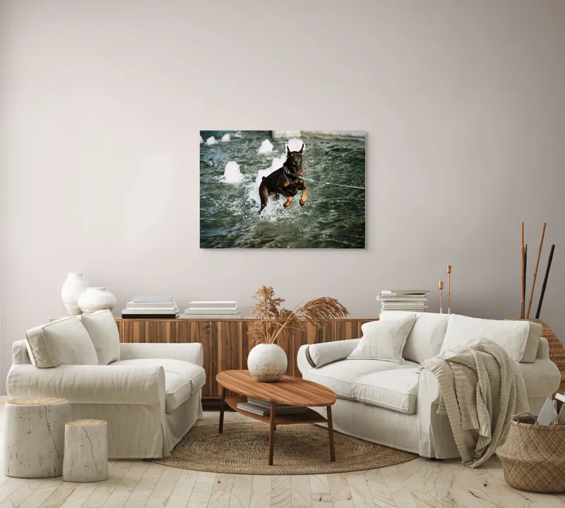 Tablou Canvas, "Câinele zburător al fântânii urbane", Nu pot spune cine este în imagine, dar este un câine care se joacă în apă., 100 x 70 cm – poza 3