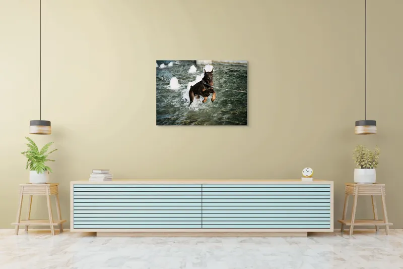 Tablou Canvas, "Câinele zburător al fântânii urbane", Nu pot spune cine este în imagine, dar este un câine care se joacă în apă., 100 x 70 cm – poza 4