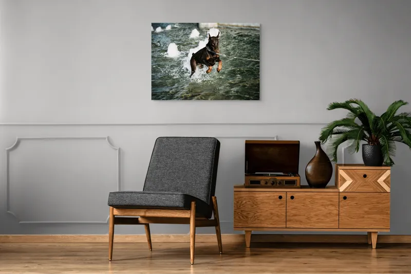 Tablou Canvas, "Câinele zburător al fântânii urbane", Nu pot spune cine este în imagine, dar este un câine care se joacă în apă., 100 x 70 cm – poza 8