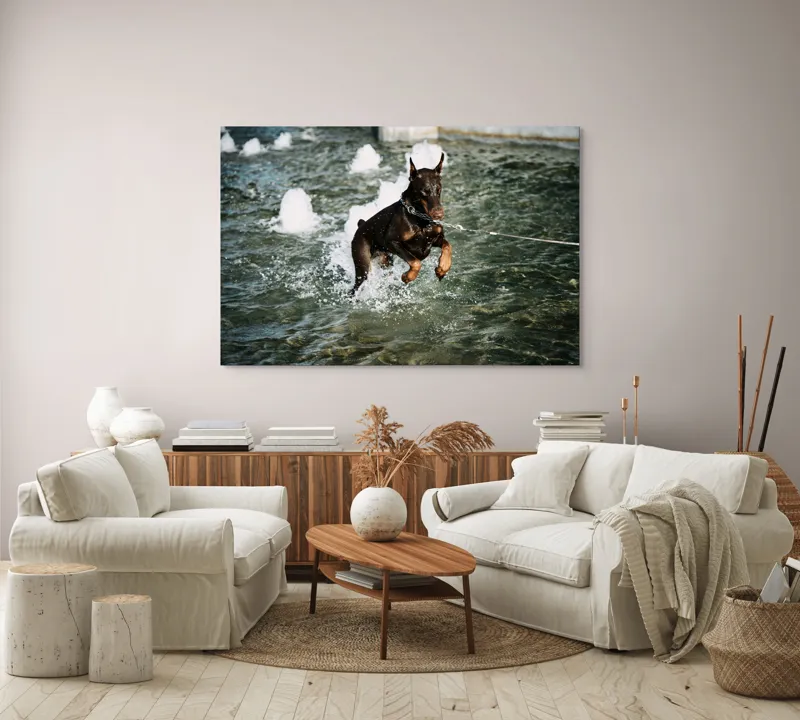 Tablou Canvas, "Câinele zburător al fântânii urbane", Nu pot spune cine este în imagine, dar este un câine care se joacă în apă., 150 x 100 cm – poza 3