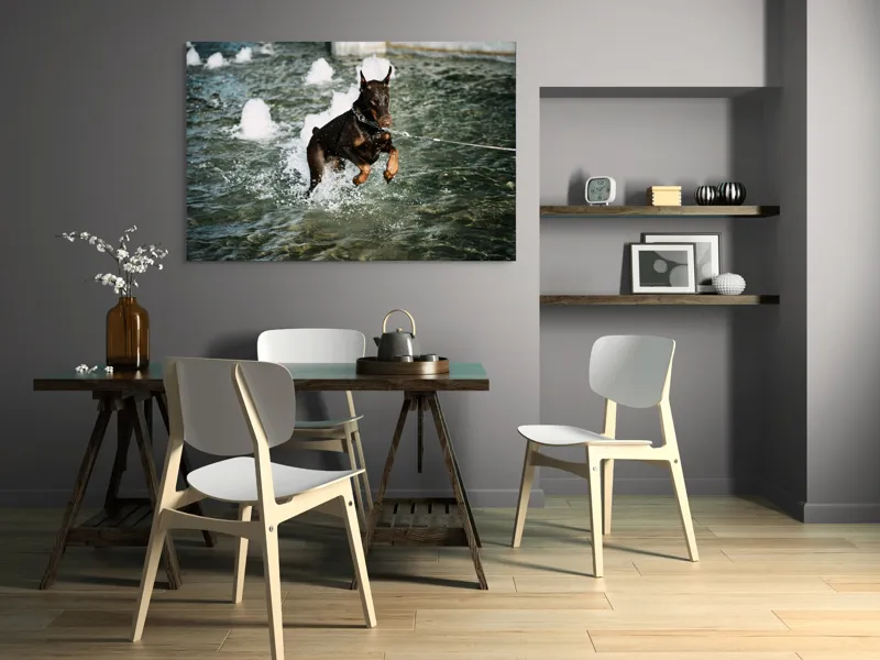 Tablou Canvas, "Câinele zburător al fântânii urbane", Nu pot spune cine este în imagine, dar este un câine care se joacă în apă., 150 x 100 cm – poza 5