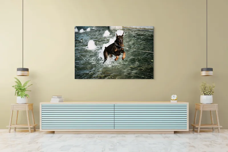 Tablou Canvas, "Câinele zburător al fântânii urbane", Nu pot spune cine este în imagine, dar este un câine care se joacă în apă., 150 x 100 cm – poza 6