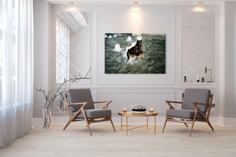 Tablou Canvas, "Câinele zburător al fântânii urbane", Nu pot spune cine este în imagine, dar este un câine care se joacă în apă., 150 x 100 cm – poza 7