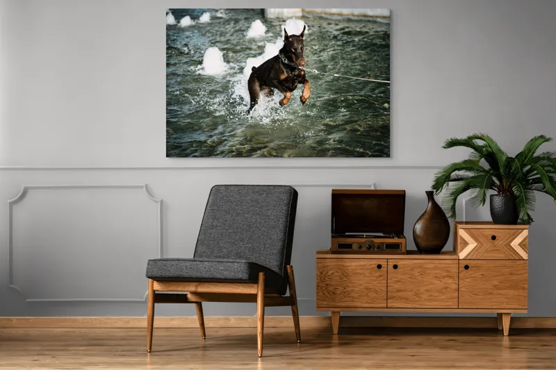 Tablou Canvas, "Câinele zburător al fântânii urbane", Nu pot spune cine este în imagine, dar este un câine care se joacă în apă., 150 x 100 cm – poza 8