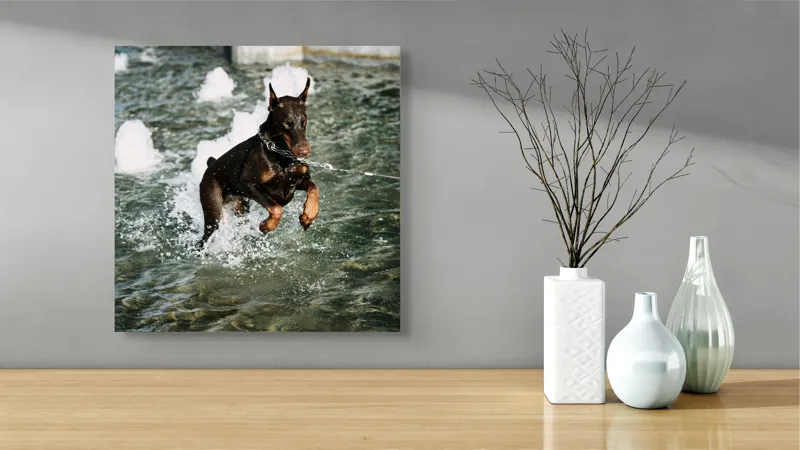 Tablou Canvas, "Câinele zburător al fântânii urbane", 50 x 50 cm – poza 3