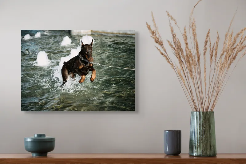Tablou Canvas, "Câinele zburător al fântânii urbane", Nu pot spune cine este în imagine, dar este un câine care se joacă în apă., 54 x 39 cm – poza 4