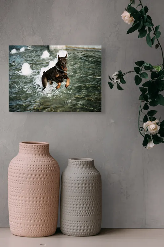 Tablou Canvas, "Câinele zburător al fântânii urbane", Nu pot spune cine este în imagine, dar este un câine care se joacă în apă., 54 x 39 cm – poza 8