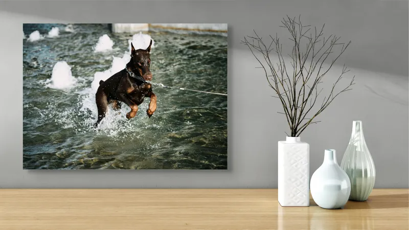 Tablou Canvas, "Câinele zburător al fântânii urbane", Nu pot spune cine este în imagine, dar este un câine care se joacă în apă., 70 x 50 cm – poza 3