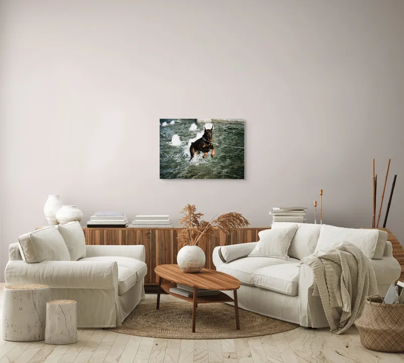 Tablou Canvas, "Câinele zburător al fântânii urbane", Nu pot spune cine este în imagine, dar este un câine care se joacă în apă., 70 x 50 cm – poza 6