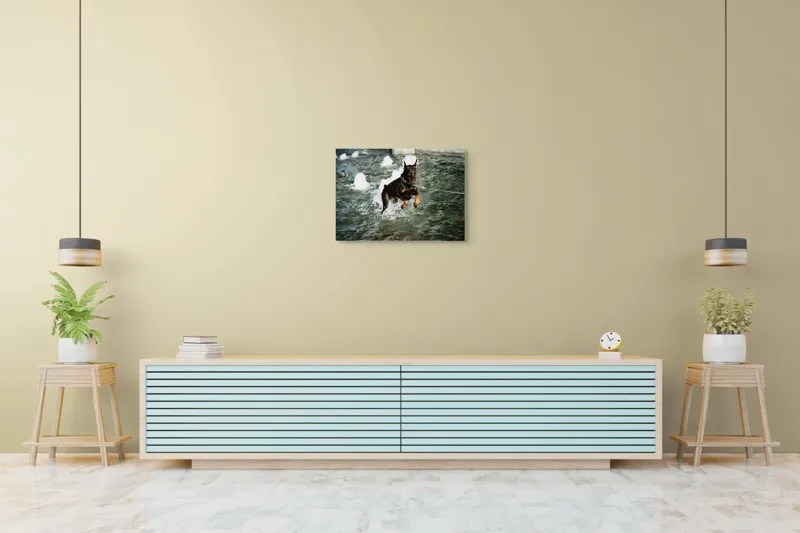 Tablou Canvas, "Câinele zburător al fântânii urbane", Nu pot spune cine este în imagine, dar este un câine care se joacă în apă., 70 x 50 cm – poza 7