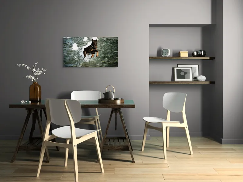 Tablou Canvas, "Câinele zburător al fântânii urbane", Nu pot spune cine este în imagine, dar este un câine care se joacă în apă., 90 x 50 cm – poza 3