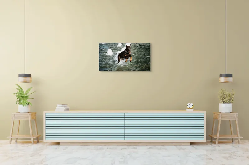 Tablou Canvas, "Câinele zburător al fântânii urbane", Nu pot spune cine este în imagine, dar este un câine care se joacă în apă., 90 x 50 cm – poza 5