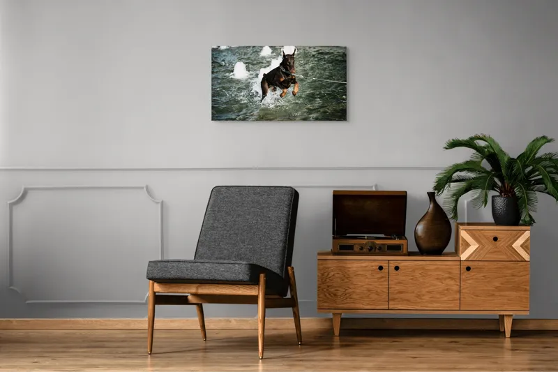 Tablou Canvas, "Câinele zburător al fântânii urbane", Nu pot spune cine este în imagine, dar este un câine care se joacă în apă., 90 x 50 cm – poza 6