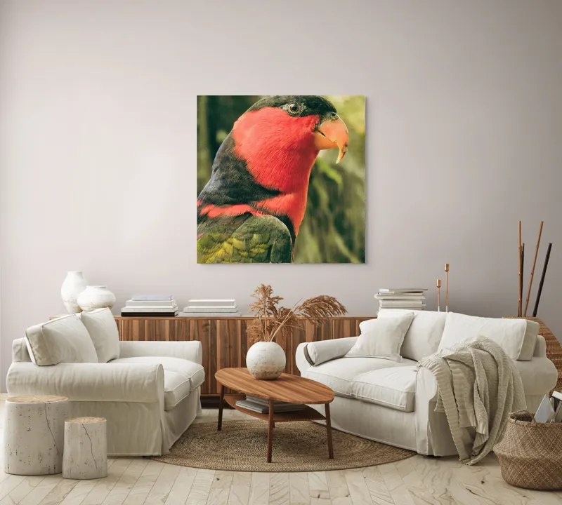 Tablou Canvas, "Papagalul în culori vii admirând natura", Pasăre, Colorată, Roșu, Negru, Cioc, Pene, Natură, Exotic, Privire, Detalii, 100 x 100 cm – poza 3