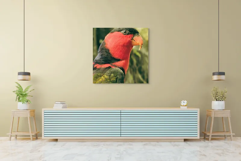 Tablou Canvas, "Papagalul în culori vii admirând natura", Pasăre, Colorată, Roșu, Negru, Cioc, Pene, Natură, Exotic, Privire, Detalii, 100 x 100 cm – poza 5