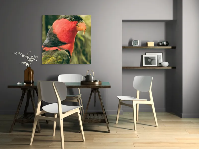 Tablou Canvas, "Papagalul în culori vii admirând natura", Pasăre, Colorată, Roșu, Negru, Cioc, Pene, Natură, Exotic, Privire, Detalii, 100 x 100 cm – poza 6