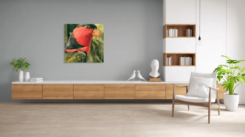 Tablou Canvas, "Papagalul în culori vii admirând natura", Pasăre, Colorată, Roșu, Negru, Cioc, Pene, Natură, Exotic, Privire, Detalii, 100 x 100 cm – poza 8