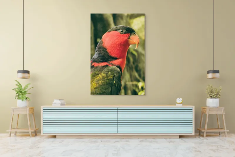 Tablou Canvas, "Papagalul în culori vii admirând natura", Pasăre, Colorată, Roșu, Negru, Cioc, Pene, Natură, Exotic, Privire, Detalii, 100 x 150 cm – poza 4