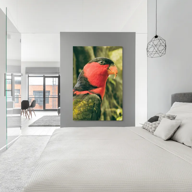 Tablou Canvas, "Papagalul în culori vii admirând natura", Pasăre, Colorată, Roșu, Negru, Cioc, Pene, Natură, Exotic, Privire, Detalii, 100 x 150 cm – poza 5