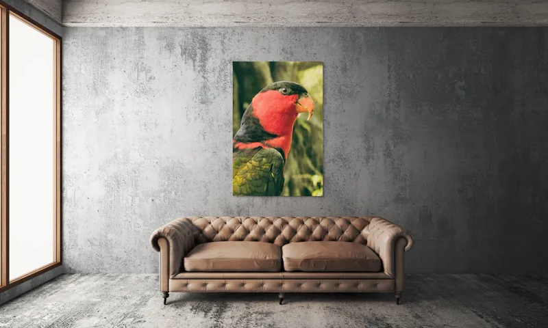 Tablou Canvas, "Papagalul în culori vii admirând natura", Pasăre, Colorată, Roșu, Negru, Cioc, Pene, Natură, Exotic, Privire, Detalii, 100 x 150 cm – poza 6