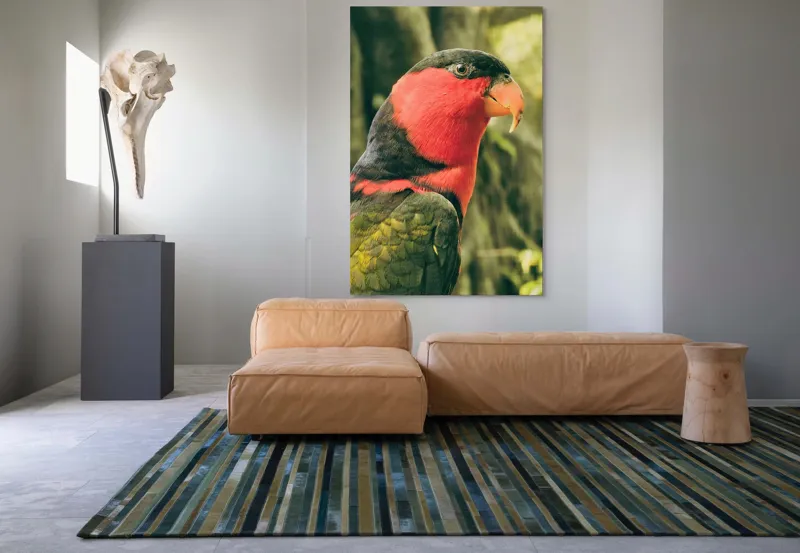 Tablou Canvas, "Papagalul în culori vii admirând natura", Pasăre, Colorată, Roșu, Negru, Cioc, Pene, Natură, Exotic, Privire, Detalii, 100 x 150 cm – poza 7