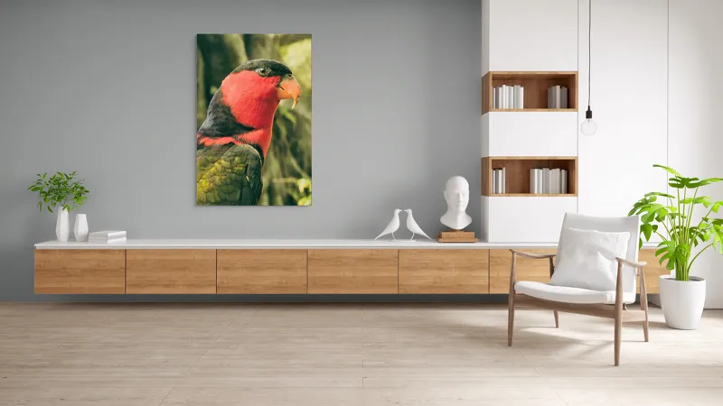 Tablou Canvas, "Papagalul în culori vii admirând natura", Pasăre, Colorată, Roșu, Negru, Cioc, Pene, Natură, Exotic, Privire, Detalii, 100 x 150 cm – poza 8