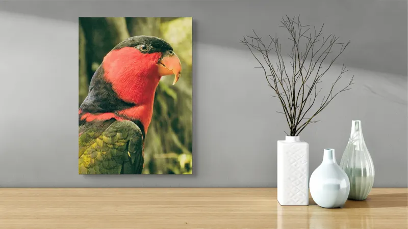 Tablou Canvas, "Papagalul în culori vii admirând natura", Pasăre, Colorată, Roșu, Negru, Cioc, Pene, Natură, Exotic, Privire, Detalii, 39 x 54 cm – poza 4