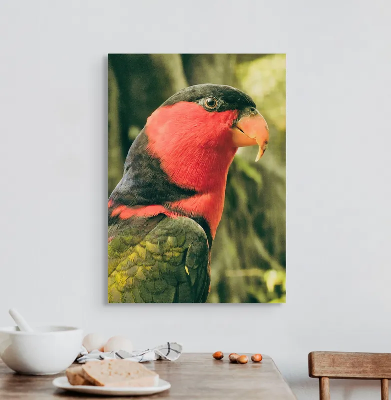 Tablou Canvas, "Papagalul în culori vii admirând natura", Pasăre, Colorată, Roșu, Negru, Cioc, Pene, Natură, Exotic, Privire, Detalii, 50 x 70 cm – poza 3