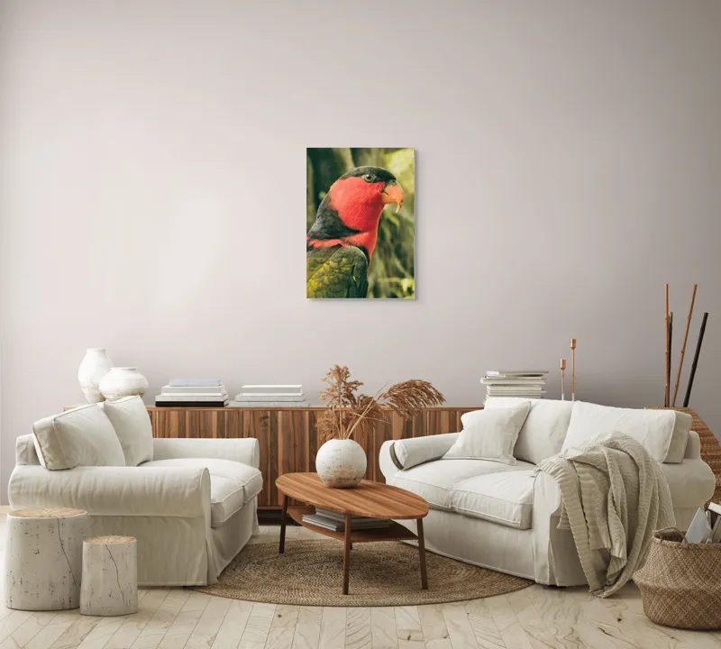Tablou Canvas, "Papagalul în culori vii admirând natura", Pasăre, Colorată, Roșu, Negru, Cioc, Pene, Natură, Exotic, Privire, Detalii, 50 x 70 cm – poza 4