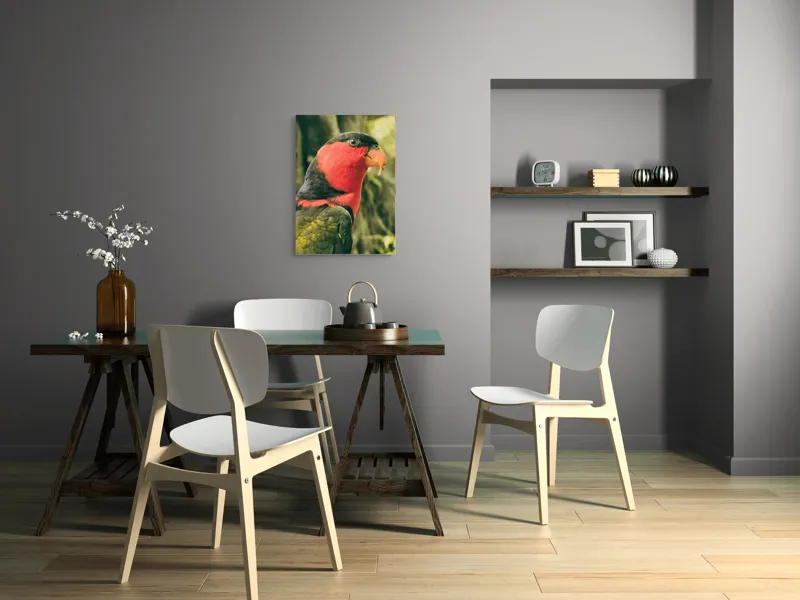 Tablou Canvas, "Papagalul în culori vii admirând natura", Pasăre, Colorată, Roșu, Negru, Cioc, Pene, Natură, Exotic, Privire, Detalii, 50 x 70 cm – poza 5