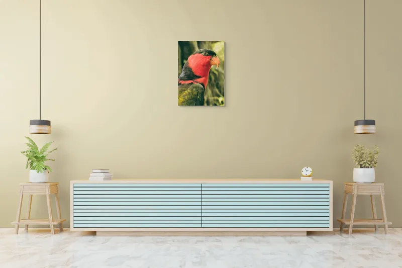 Tablou Canvas, "Papagalul în culori vii admirând natura", Pasăre, Colorată, Roșu, Negru, Cioc, Pene, Natură, Exotic, Privire, Detalii, 50 x 70 cm – poza 6
