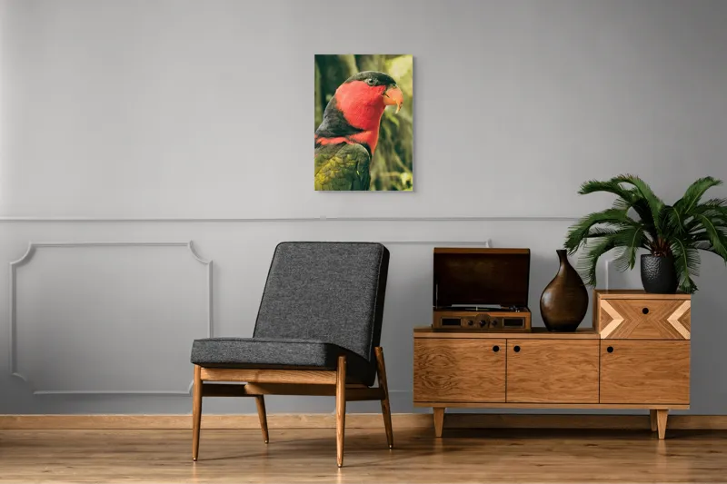 Tablou Canvas, "Papagalul în culori vii admirând natura", Pasăre, Colorată, Roșu, Negru, Cioc, Pene, Natură, Exotic, Privire, Detalii, 50 x 70 cm – poza 8