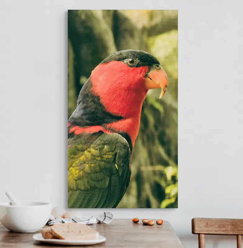 Tablou Canvas, "Papagalul în culori vii admirând natura", Pasăre, Colorată, Roșu, Negru, Cioc, Pene, Natură, Exotic, Privire, Detalii, 50 x 90 cm – poza 3