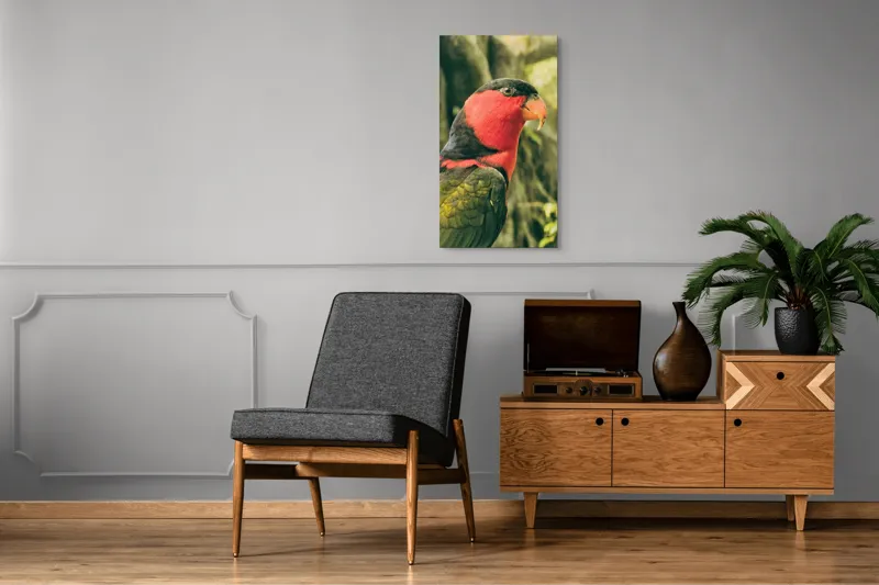 Tablou Canvas, "Papagalul în culori vii admirând natura", Pasăre, Colorată, Roșu, Negru, Cioc, Pene, Natură, Exotic, Privire, Detalii, 50 x 90 cm – poza 8