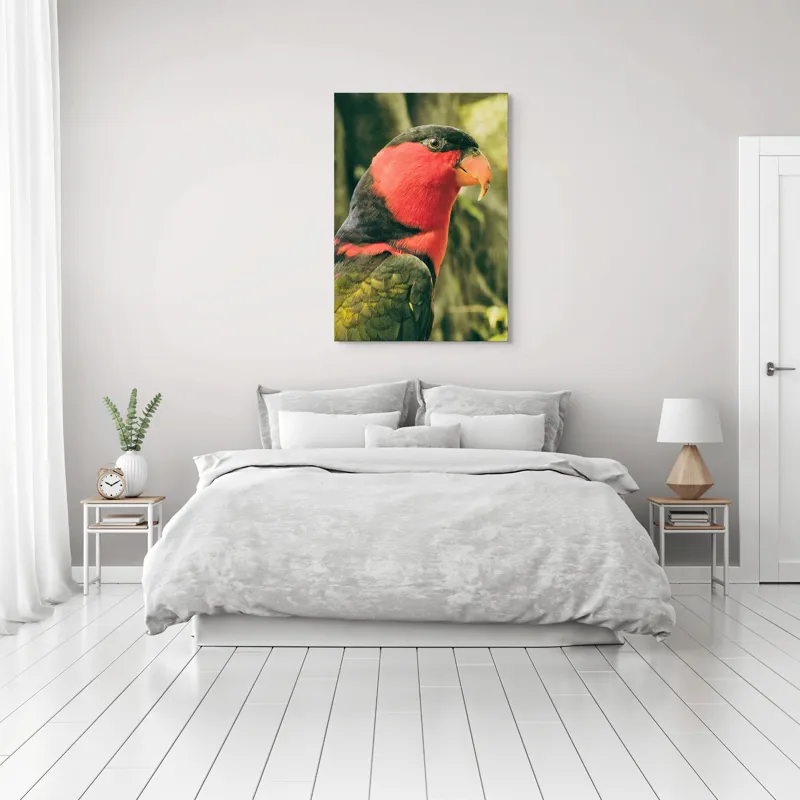 Tablou Canvas, "Papagalul în culori vii admirând natura", Pasăre, Colorată, Roșu, Negru, Cioc, Pene, Natură, Exotic, Privire, Detalii, 70 x 100 cm – poza 3