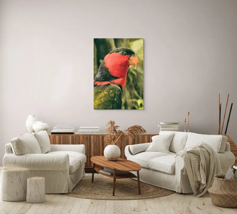 Tablou Canvas, "Papagalul în culori vii admirând natura", Pasăre, Colorată, Roșu, Negru, Cioc, Pene, Natură, Exotic, Privire, Detalii, 70 x 100 cm – poza 4