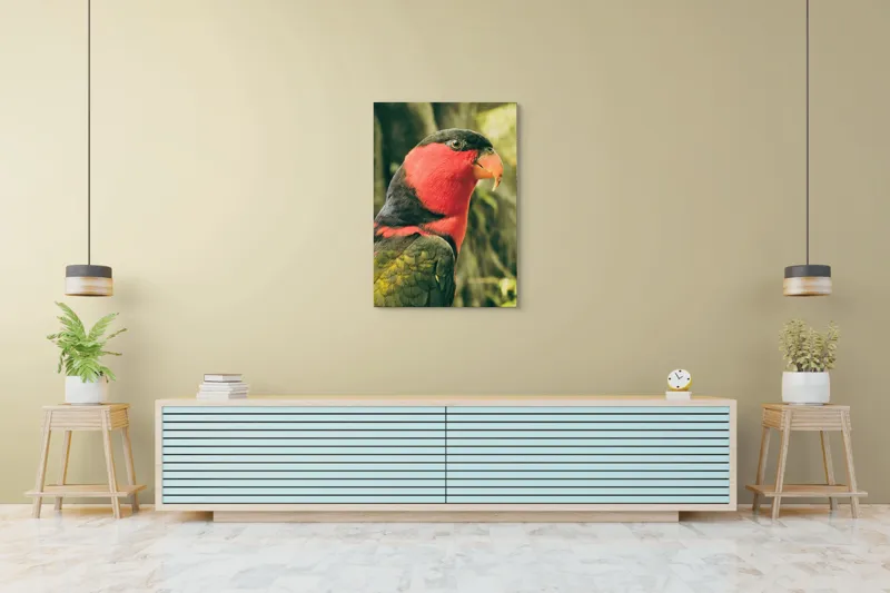Tablou Canvas, "Papagalul în culori vii admirând natura", Pasăre, Colorată, Roșu, Negru, Cioc, Pene, Natură, Exotic, Privire, Detalii, 70 x 100 cm – poza 5