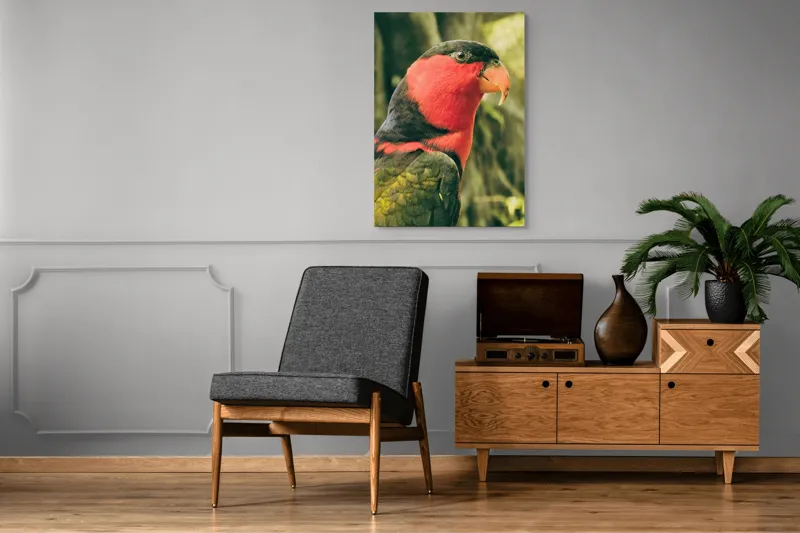 Tablou Canvas, "Papagalul în culori vii admirând natura", Pasăre, Colorată, Roșu, Negru, Cioc, Pene, Natură, Exotic, Privire, Detalii, 70 x 100 cm – poza 6