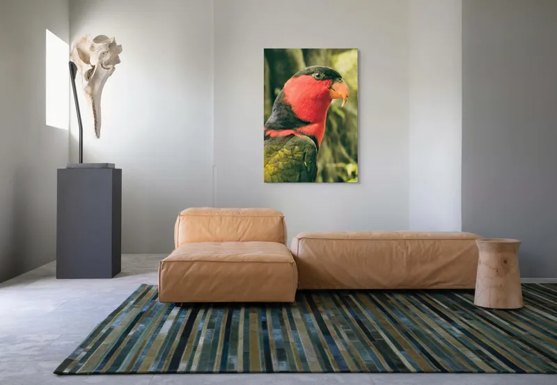 Tablou Canvas, "Papagalul în culori vii admirând natura", Pasăre, Colorată, Roșu, Negru, Cioc, Pene, Natură, Exotic, Privire, Detalii, 70 x 100 cm – poza 7