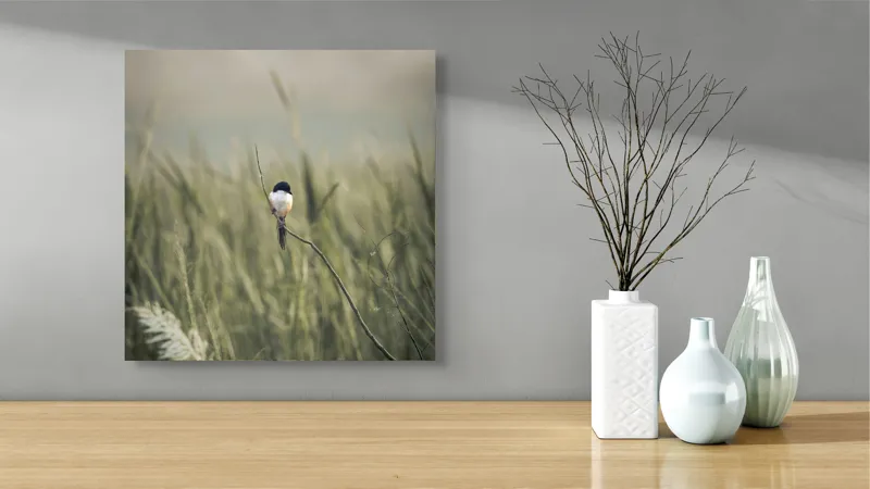 Tablou Canvas, "Pasărea singuratică în câmpul de iarbă", Pasăre, Luncă, Delicatețe, Natură, Măreție, Linie, Verde, Câmpie, Solitudine, Armonie, 50 x 50 cm – poza 3