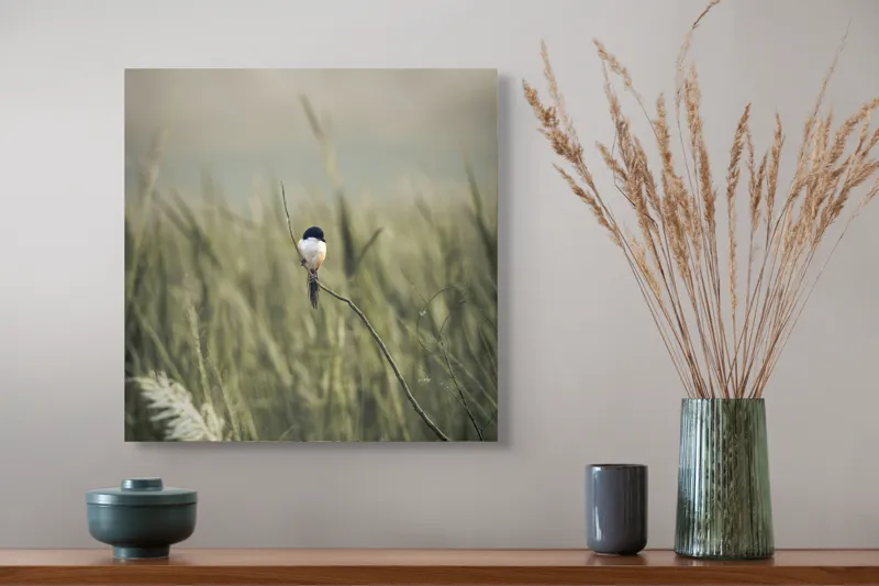 Tablou Canvas, "Pasărea singuratică în câmpul de iarbă", Pasăre, Luncă, Delicatețe, Natură, Măreție, Linie, Verde, Câmpie, Solitudine, Armonie, 50 x 50 cm – poza 4