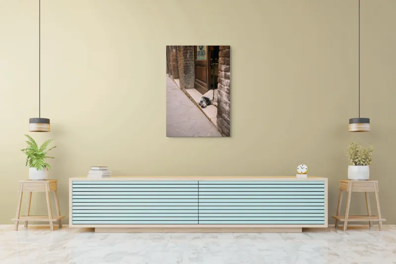 Tablou Canvas, "Câinele somnoros din pragul cafenelei", Câine, Odihnă, Trotuar, Ușă, Perete, Lesă, Leneș, Somn., 70 x 100 cm – poza 5