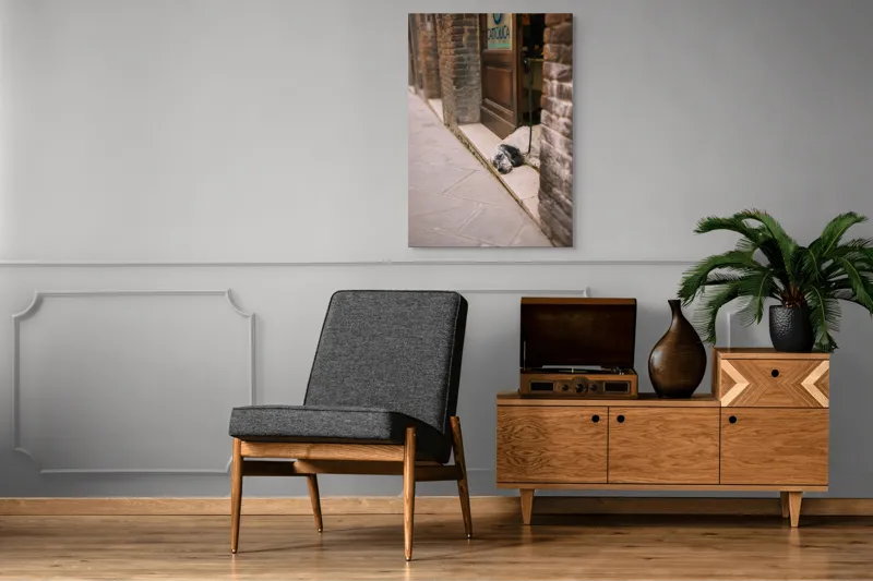 Tablou Canvas, "Câinele somnoros din pragul cafenelei", Câine, Odihnă, Trotuar, Ușă, Perete, Lesă, Leneș, Somn., 70 x 100 cm – poza 6