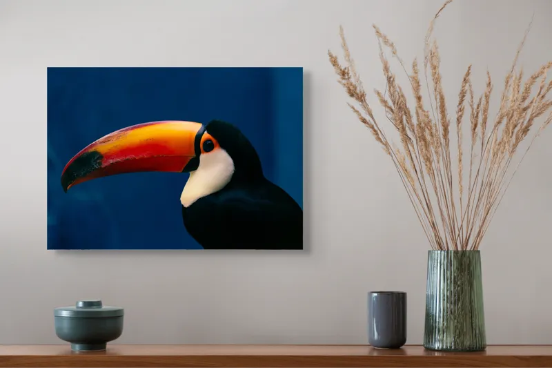 Tablou Canvas, "Pasărea cu cioc curcubeu impresionant", Colorat, Elegant, Exuberant, Vibrant, Exotic, Contrastant, Impresionant, 54 x 39 cm – poza 4